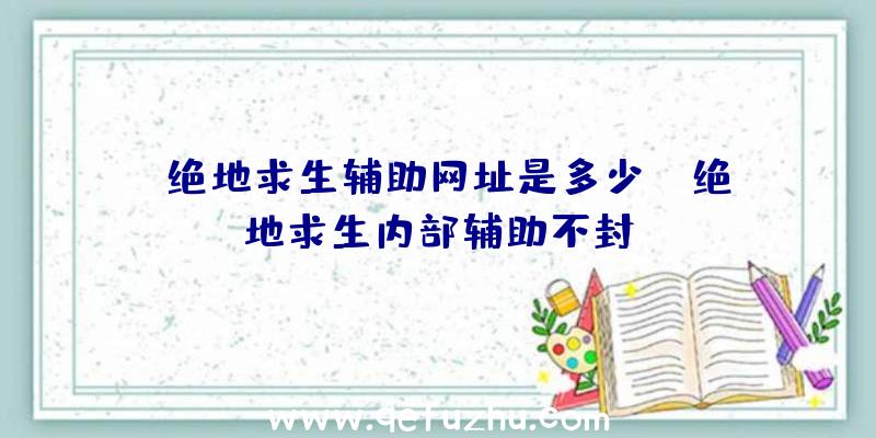 「绝地求生辅助网址是多少」|绝地求生内部辅助不封？